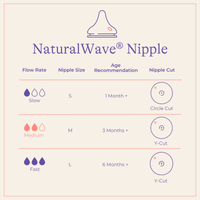 Glass Bottles with NaturalWave Nipple (8 Ounces)