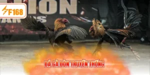 Đá gà đòn truyền thống